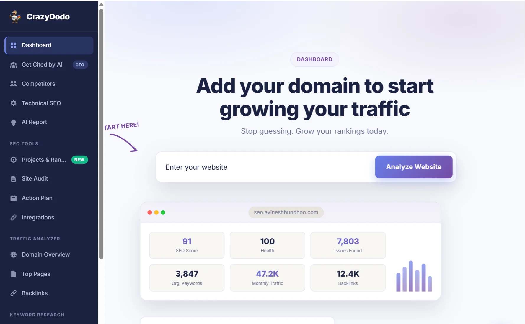 The CrazyDodo Website Analyzer with the box to enter your website
