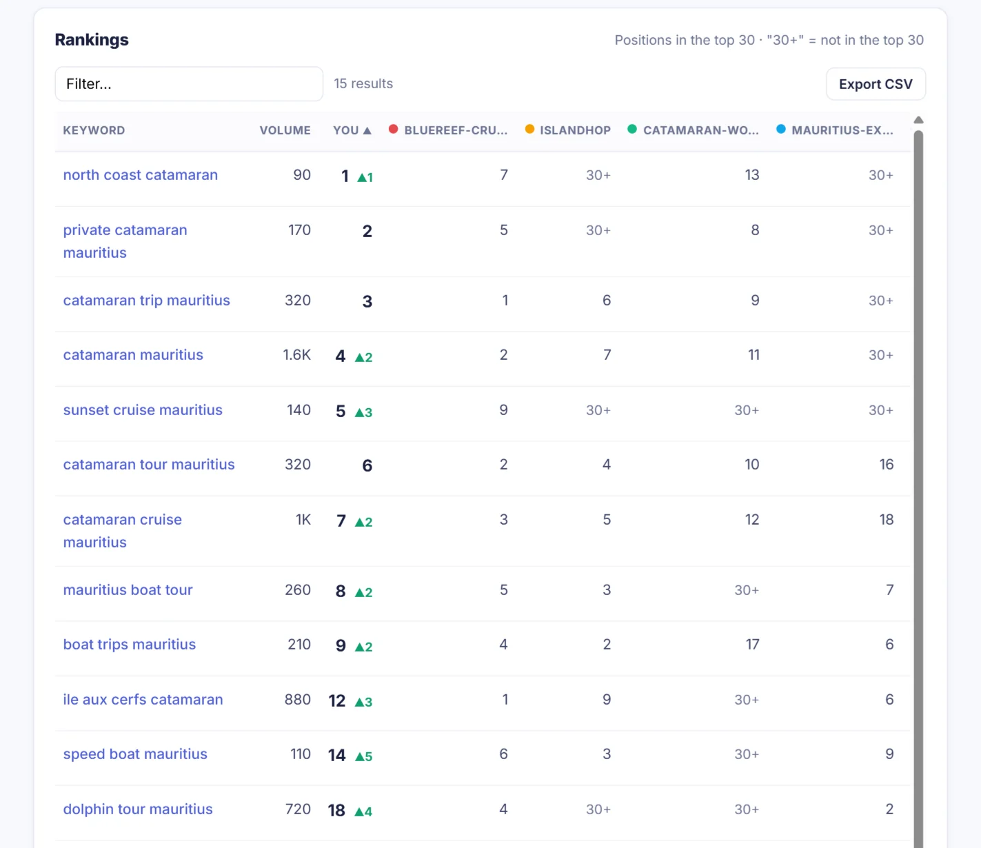 Rankings table with your position and each competitor position per keyword